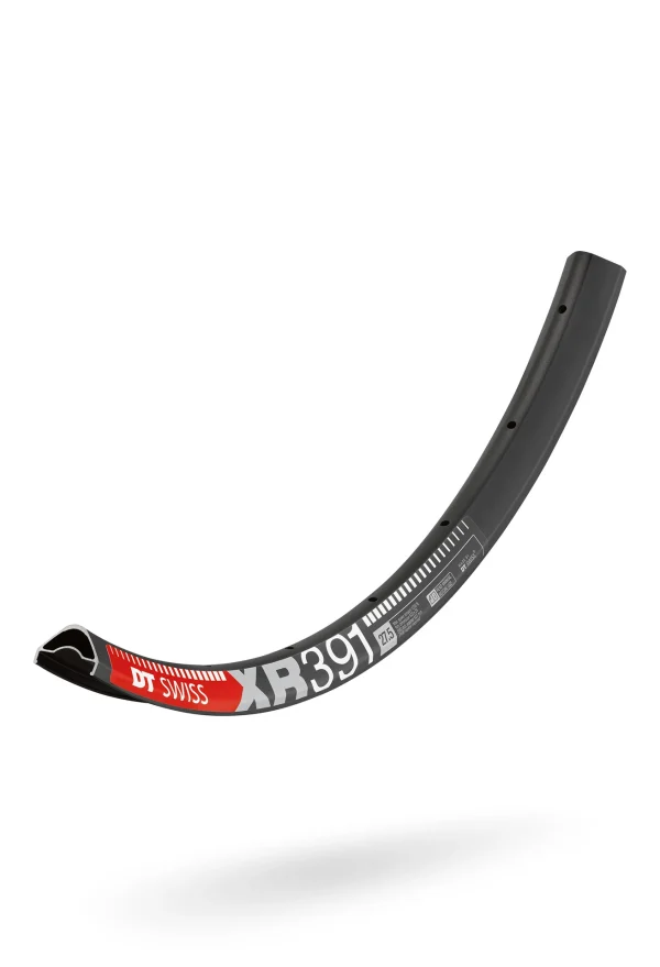 DT Swiss XR 391 29″ 28 Loch Felge zart 1