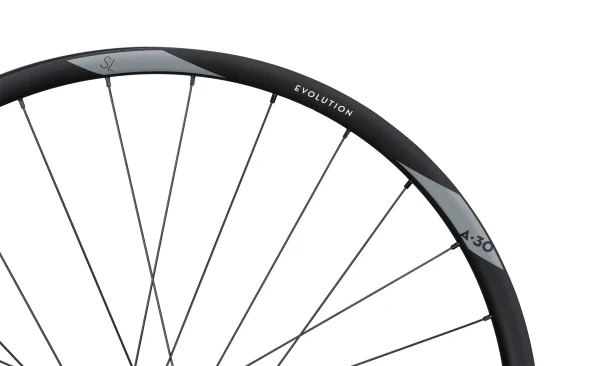 Feinstes NEWMEN EVOLUTION SL A.30 29˝ Fade Straightpull 12x148mm Sram XD Laufrad Hinten 3