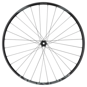 bestellen NEWMEN EVOLUTION SL X.A.25 29″ Fade Straightpull 15x110mm Laufrad Vorne 7