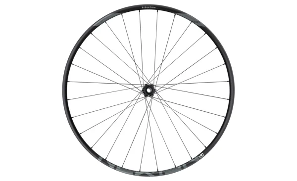 bestellen NEWMEN EVOLUTION SL X.A.25 29″ Fade Straightpull 15x110mm Laufrad Vorne 3